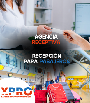 Meet and Greet Aeropuerto